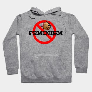 NO FEMINISM Hoodie